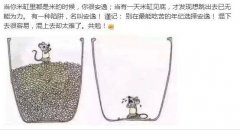 不能太安逸,奋斗! 不能太安逸,奋斗!