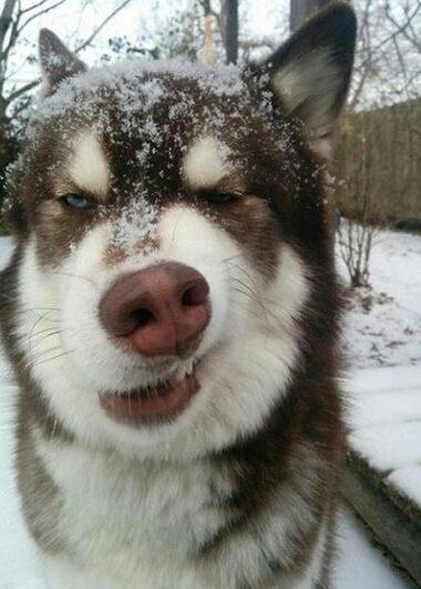 看我是不是萌蠢萌蠢的 看我是不是萌蠢萌蠢的