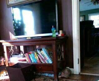 大家来找熊孩子 大家来找熊孩子