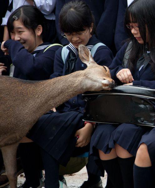 地球上不同角落孩子们的生活。