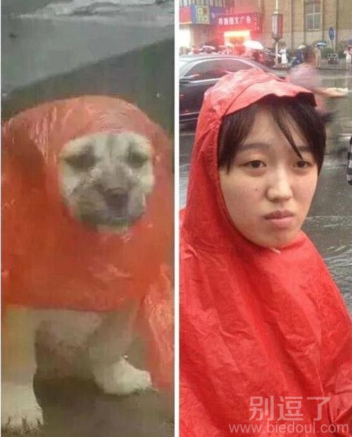 我和单身狗一样的颜色。