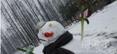 路上见到的大家说我该不该拿啊 路上见到的大家说我该不该拿啊