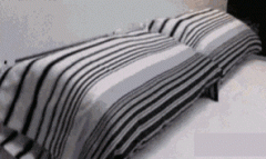 懒人福音啊，自动铺床器