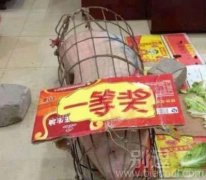 一等奖很好！够意思！