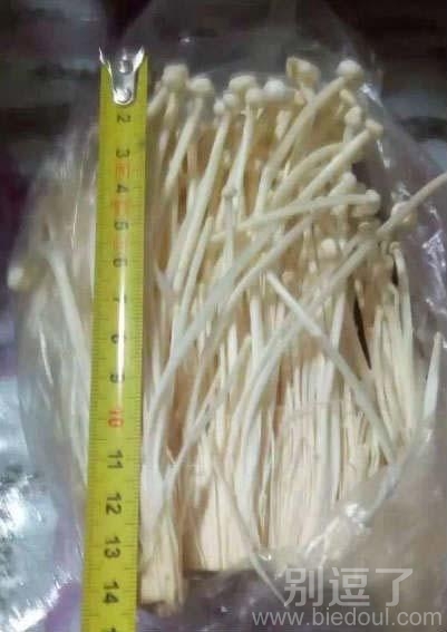 谁再敢说楼下是金针菇我和他急 谁再敢说楼下是金针菇我和他急