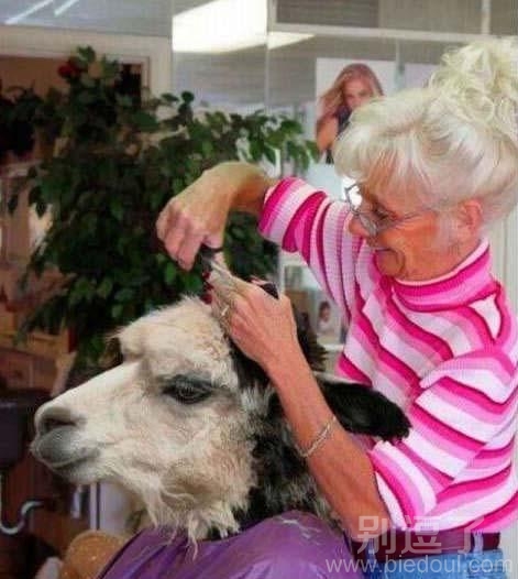 对，我要那个最流行的发型