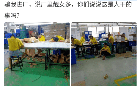 “骗我进厂,说厂里好找对象,你看看这是人干的事吗?”啊哈哈哈哈 “骗我进厂,说厂里好找对象,你看看这是人干的事吗?”啊哈哈哈哈