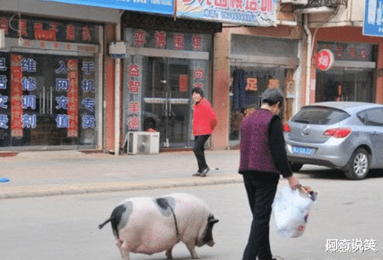 “骗我进厂,说厂里好找对象,你看看这是人干的事吗?”啊哈哈哈哈 “骗我进厂,说厂里好找对象,你看看这是人干的事吗?”啊哈哈哈哈