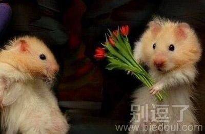 小沈阳和赵本山的对话。 小沈阳和赵本山的对话。