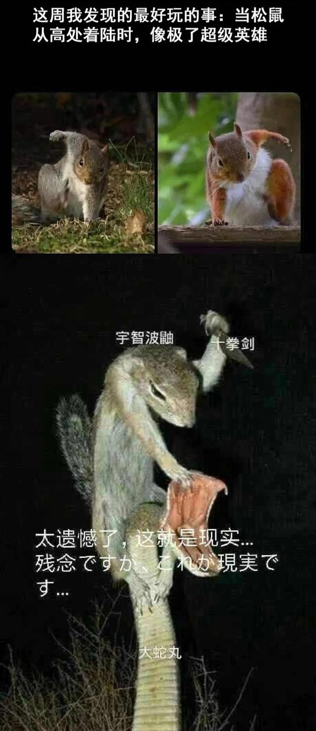 神评爆笑合集:第一颗扔下来之后,日本也是这么想的 神评爆笑合集:第一颗扔下来之后,日本也是这么想的