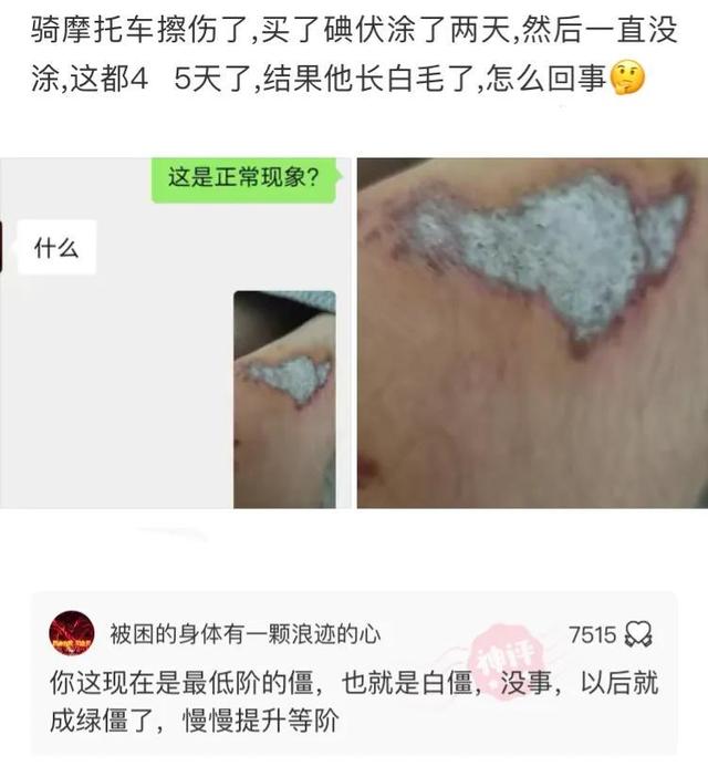 神评爆笑合集:第一颗扔下来之后,日本也是这么想的 神评爆笑合集:第一颗扔下来之后,日本也是这么想的