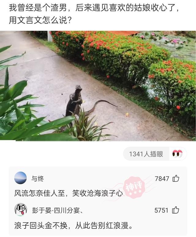 “谁能解释下这是啥虫子,我都不敢坐了!”神评回复亮了哈哈哈 “谁能解释下这是啥虫子,我都不敢坐了!”神评回复亮了哈哈哈