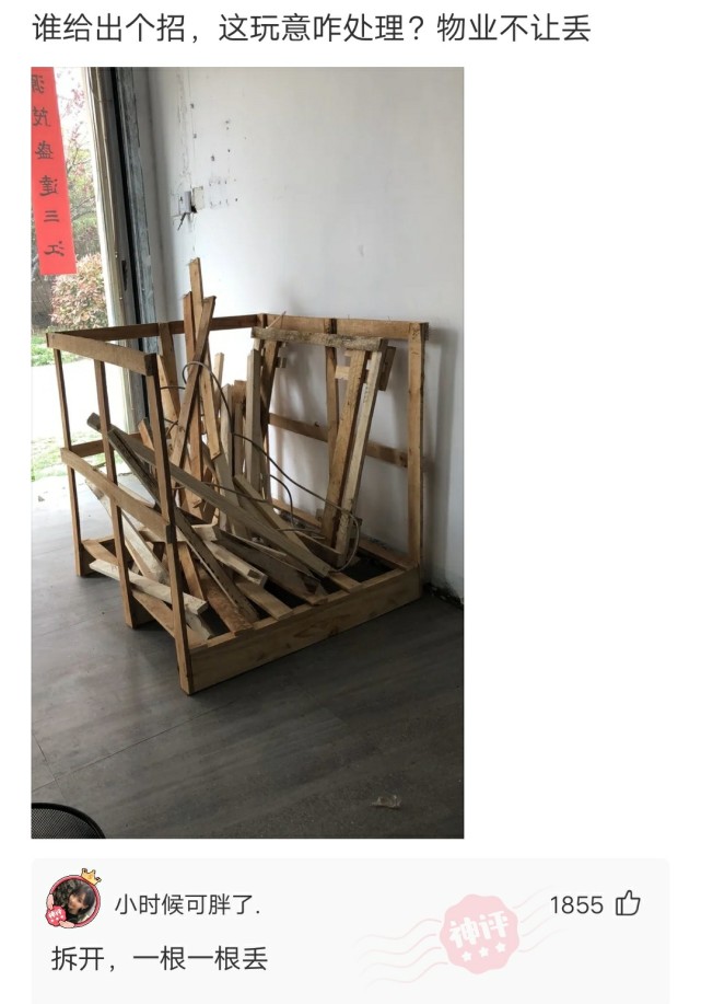 “谁能解释下这是啥虫子,我都不敢坐了!”神评回复亮了哈哈哈 “谁能解释下这是啥虫子,我都不敢坐了!”神评回复亮了哈哈哈