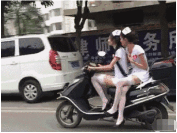 “谁能解释下这是啥虫子,我都不敢坐了!”神评回复亮了哈哈哈 “谁能解释下这是啥虫子,我都不敢坐了!”神评回复亮了哈哈哈