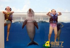 萌宠实在是友好了 萌宠实在是友好了