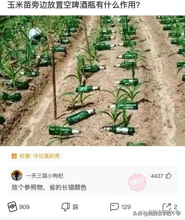 神回复:结婚了,大家觉得我们两个怎么样,有没有夫妻相 神回复:结婚了,大家觉得我们两个怎么样,有没有夫妻相