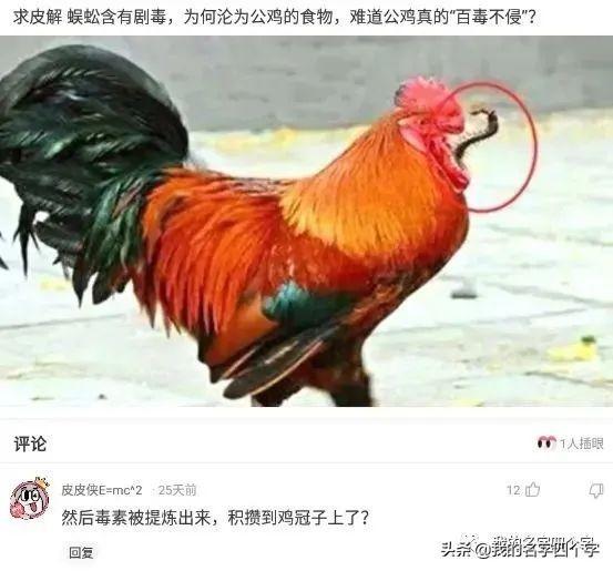 神回复:结婚了,大家觉得我们两个怎么样,有没有夫妻相 神回复:结婚了,大家觉得我们两个怎么样,有没有夫妻相