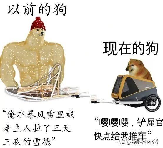神回复:结婚了,大家觉得我们两个怎么样,有没有夫妻相 神回复:结婚了,大家觉得我们两个怎么样,有没有夫妻相