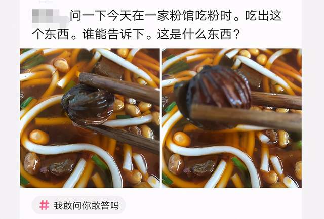 “在网上买了个壁虎，没想到越长越大.....”这是吃猪饲料了吧！哈哈哈哈