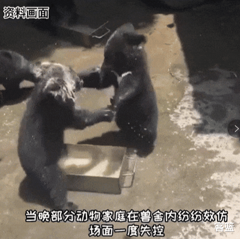 “小姐姐,你穿这样子的裙子办事, 真的不会觉得不方便么?” “小姐姐,你穿这样子的裙子办事, 真的不会觉得不方便么?”