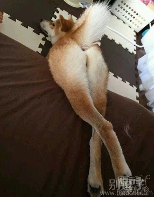 美女,你这姿势真妖娆! 美女,你这姿势真妖娆!