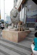 跟偶像合个影