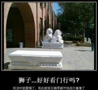 不好好看门干啥呢