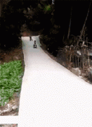 哦买噶，被女司机追尾了