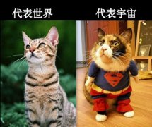 猫星人的搞笑图片