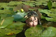 一个潜伏的人。。 一个潜伏的人。。