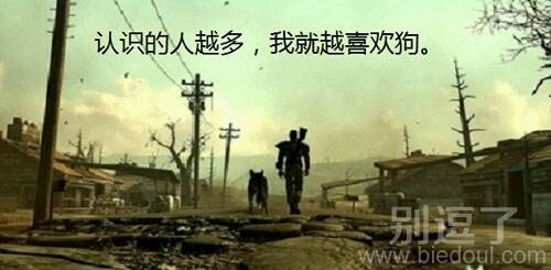 我只喜欢狗!!! 我只喜欢狗!!!