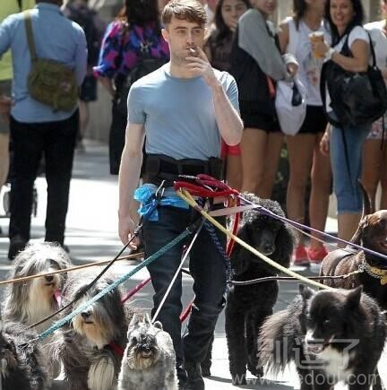 最霸气的遛狗方式 最霸气的遛狗方式