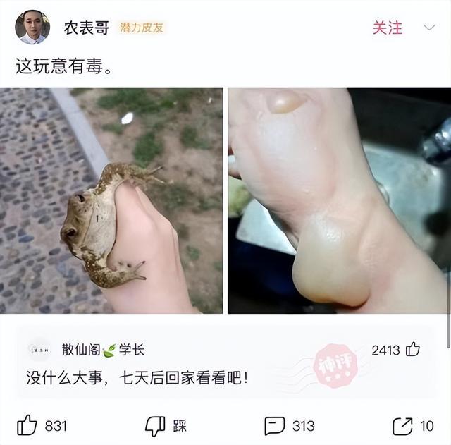 神回复:颜值能否弥补身高上差距? 神回复:颜值能否弥补身高上差距?