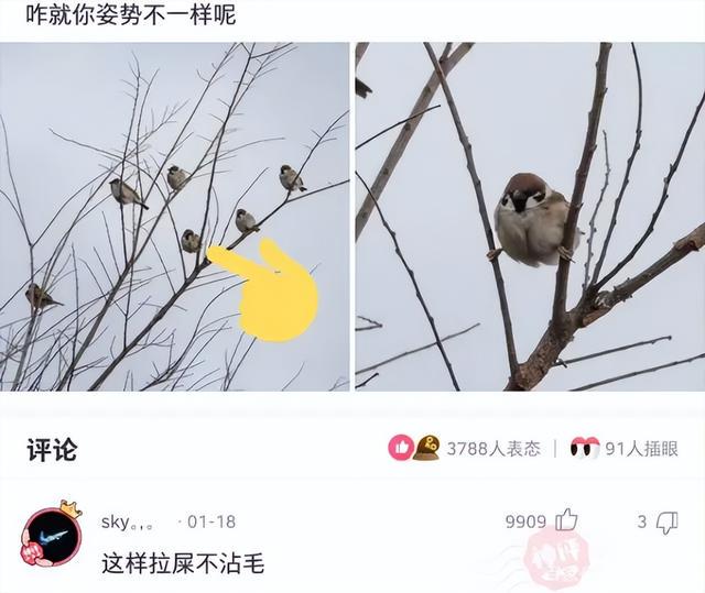 神回复:颜值能否弥补身高上差距? 神回复:颜值能否弥补身高上差距?