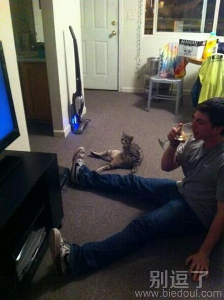 一只猫和她的主人。 一只猫和她的主人。