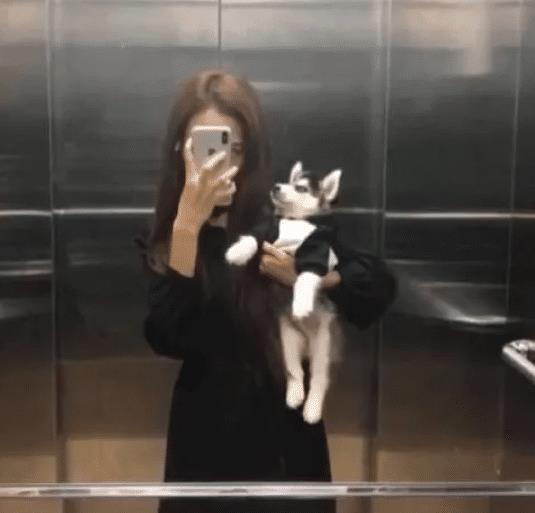 妹子这腿好细啊,这黑丝穿的真诱惑,想咬一口哈哈 妹子这腿好细啊,这黑丝穿的真诱惑,想咬一口哈哈