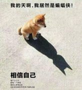 一只猫的自恋故事。 一只猫的自恋故事。