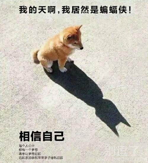 一只猫的自恋故事。 一只猫的自恋故事。