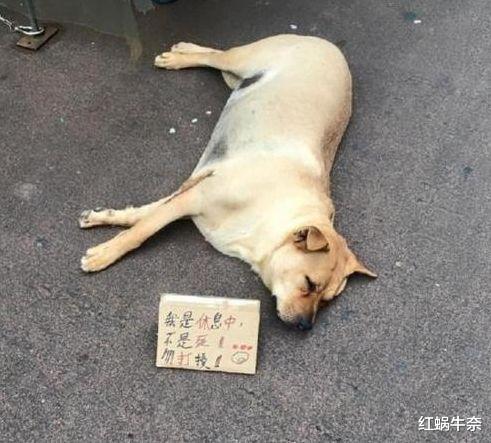 媳妇给我发了张照片,结过婚的都明白,这个暗示够明确!哈哈哈 媳妇给我发了张照片,结过婚的都明白,这个暗示够明确!哈哈哈
