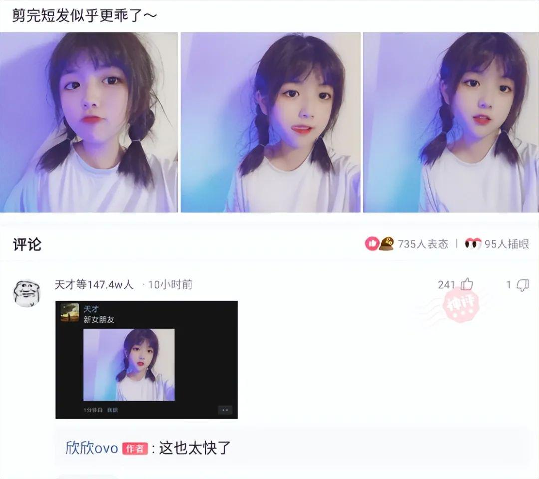 神回复：五大美人，感觉太眼熟了，一时叫不出名字来