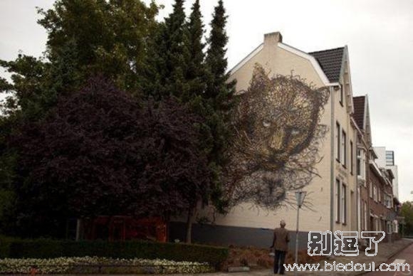 墙壁上好大一只动物