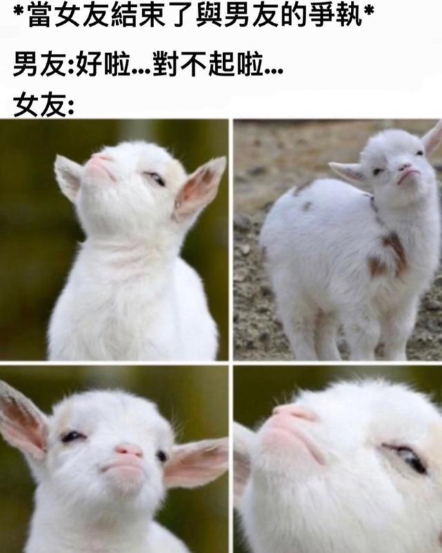 神回复:我和女朋友同居三个月,都没碰过她,我是不是个好男人 神回复:我和女朋友同居三个月,都没碰过她,我是不是个好男人