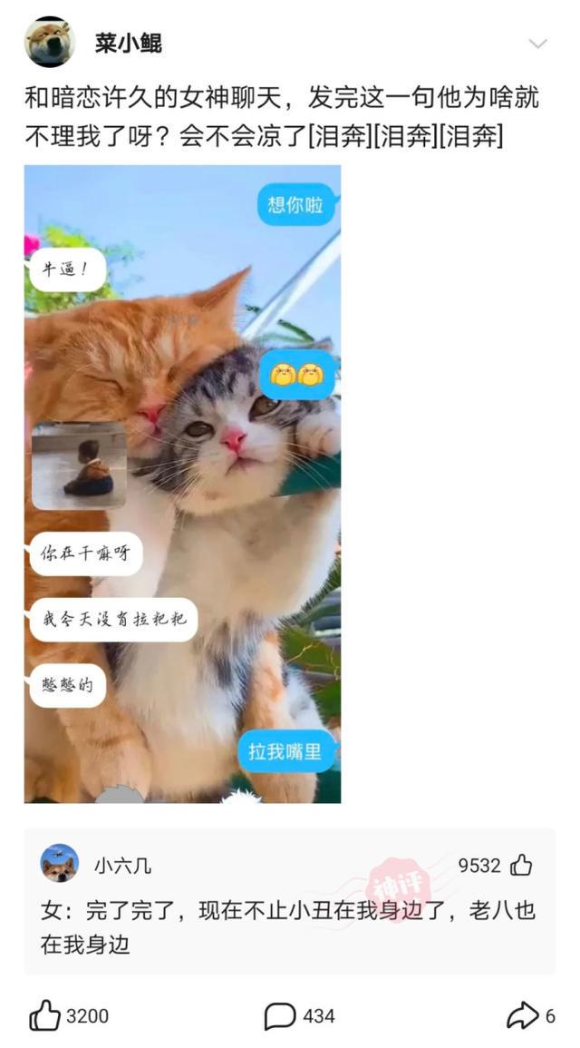 神回复:我和女朋友同居三个月,都没碰过她,我是不是个好男人 神回复:我和女朋友同居三个月,都没碰过她,我是不是个好男人