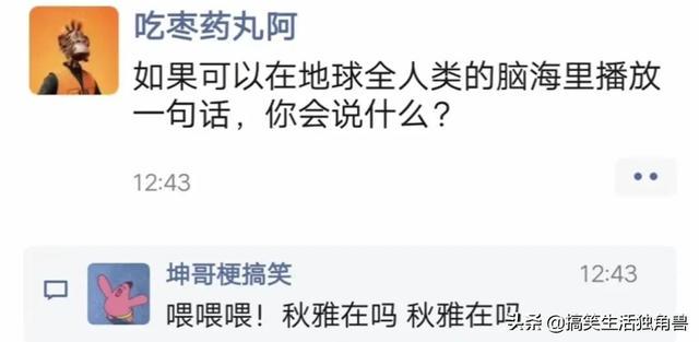 神回复:一年前花了一千八买了只柴犬,现在感觉越来越不对劲 神回复:一年前花了一千八买了只柴犬,现在感觉越来越不对劲