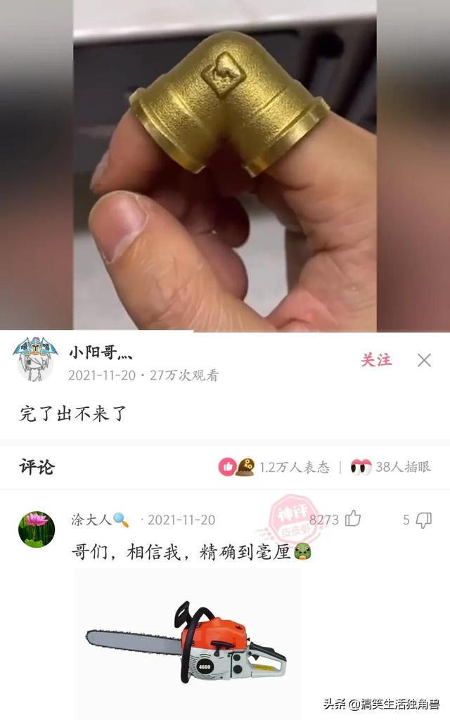 神回复:一年前花了一千八买了只柴犬,现在感觉越来越不对劲 神回复:一年前花了一千八买了只柴犬,现在感觉越来越不对劲
