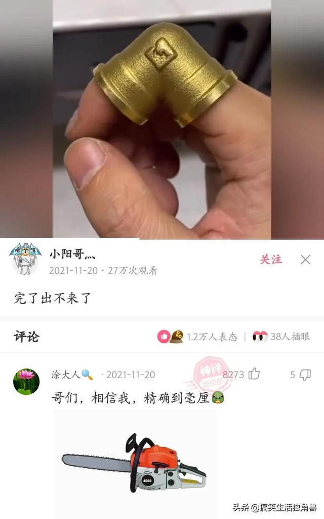 神回复：一年前花了一千八买了只柴犬，现在感觉越来越不对劲