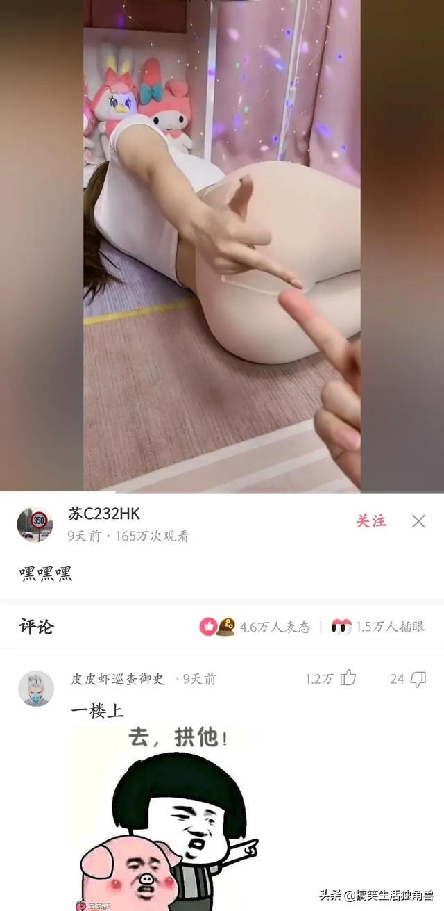 神回复:一年前花了一千八买了只柴犬,现在感觉越来越不对劲 神回复:一年前花了一千八买了只柴犬,现在感觉越来越不对劲