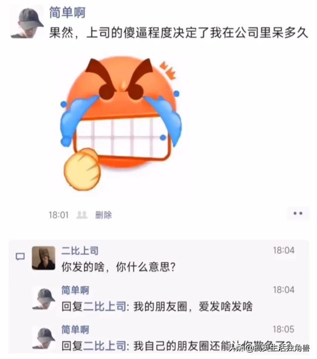 神回复:一年前花了一千八买了只柴犬,现在感觉越来越不对劲 神回复:一年前花了一千八买了只柴犬,现在感觉越来越不对劲