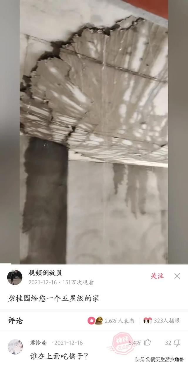 神回复:一年前花了一千八买了只柴犬,现在感觉越来越不对劲 神回复:一年前花了一千八买了只柴犬,现在感觉越来越不对劲