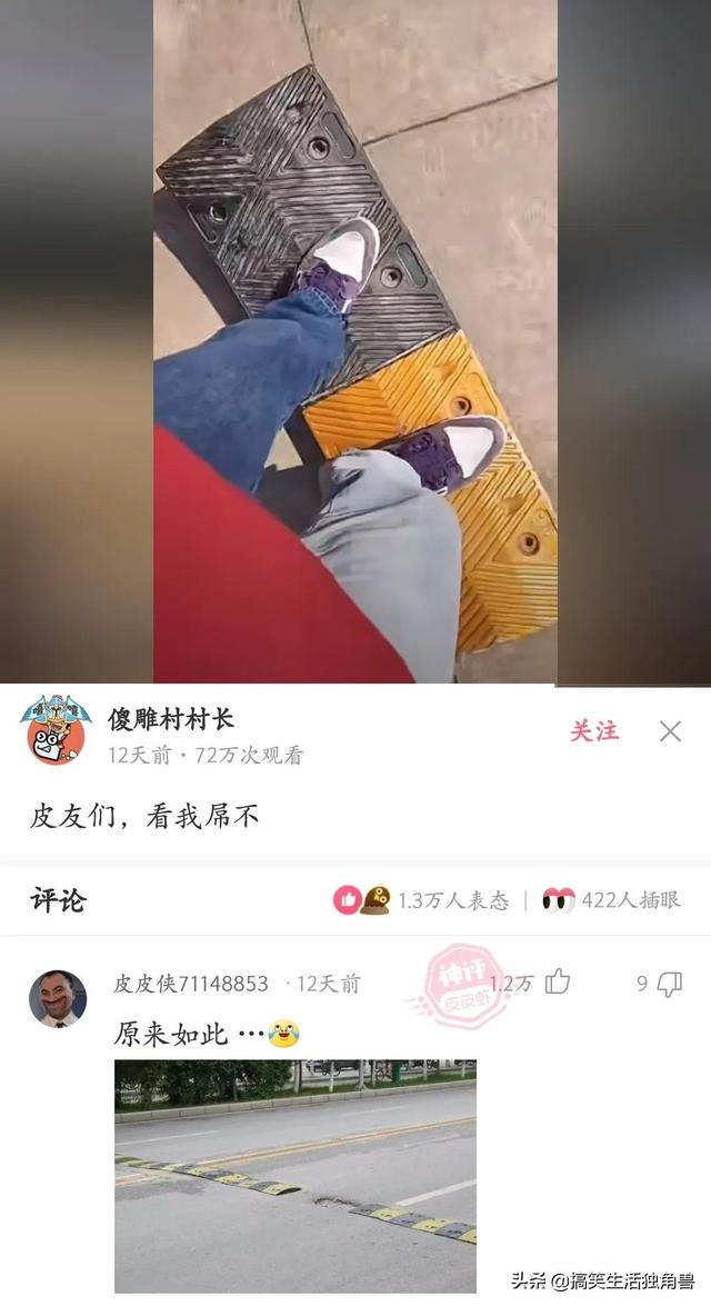 神回复:一年前花了一千八买了只柴犬,现在感觉越来越不对劲 神回复:一年前花了一千八买了只柴犬,现在感觉越来越不对劲